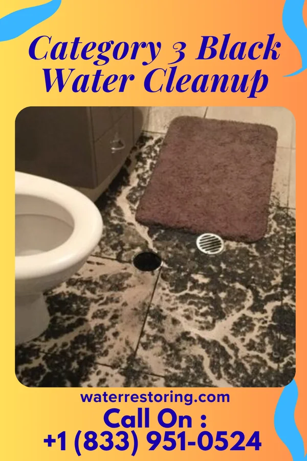Category 3 Black Water Cleanup in Manorville, PA