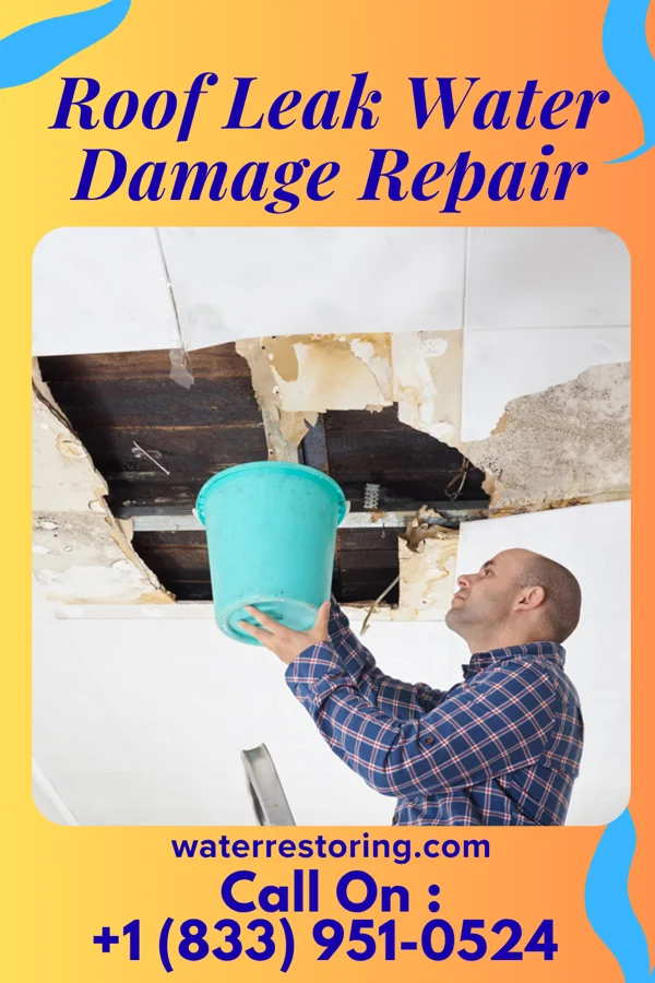 Roof Leak Water Damage Repair in Manorville, PA