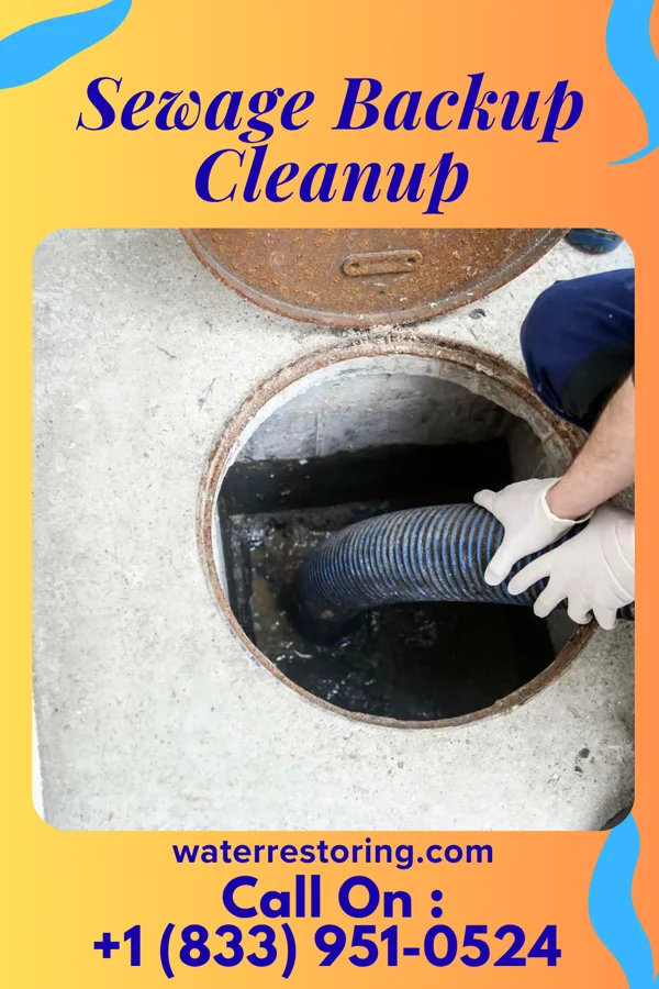 Sewage Backup Cleanup in Manorville, PA