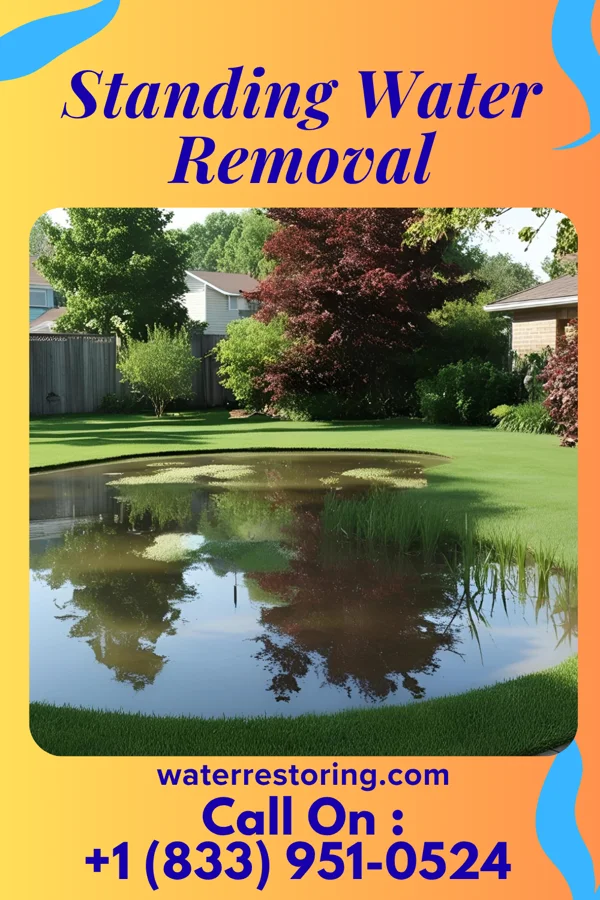 Standing Water Removal in Manorville, PA